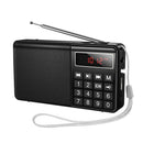 Multi Function Portable Radio with AM+FM Dual Mode (HI50)
