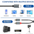 USB-C to 2 RCA Audio Cable
