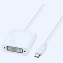 Mindpure DisplayPort to DVI Converter (DP Male to DVI Female Adapter)