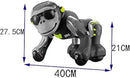 K12 Intelligence Orangutan Toy Dancing, Singing, Push-up and Turn A Somesault Infrared Control Orangutan Robot For Children