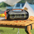 600W Bluetooth Party Speaker with 2 Wireless Microphones, RGB Light, 6000mAh Battery, IPX5 Waterproof (DS67)