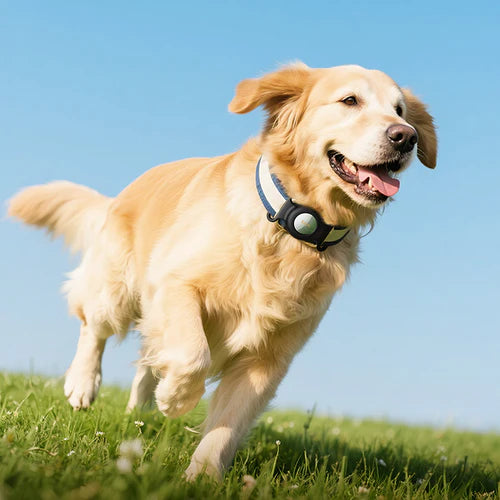 Smart Wireless Pet Tracker Tag w/ 9-12 Months Battery Life, Comfortable Collar (E91C)