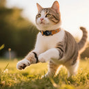 Smart Wireless Pet Tracker Tag w/ 9-12 Months Battery Life, Comfortable Collar (E91C)