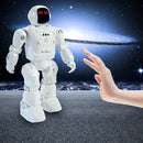 RC Robo Smart Robot