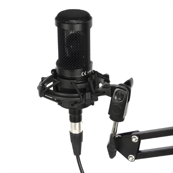 AT2020 48V XLR Professional Condenser Microphone