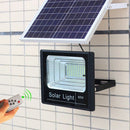 Solar Flood Light