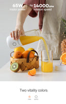 Vitamer 350ml Mini Juice Blender Machine